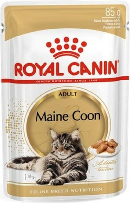 Maine Coon Wet (12x85g)
