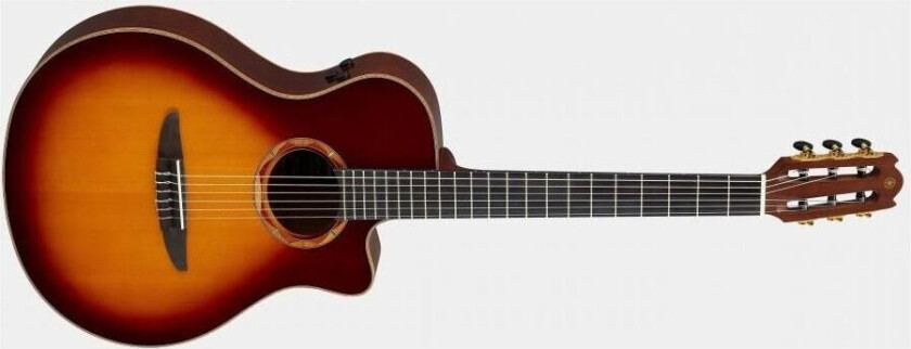 NTX3BS Brown Sunburst