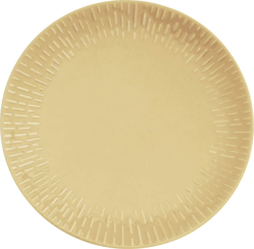 - Life in colour - Confetti - Mustard dinner plate w/relief porcelain (13383)