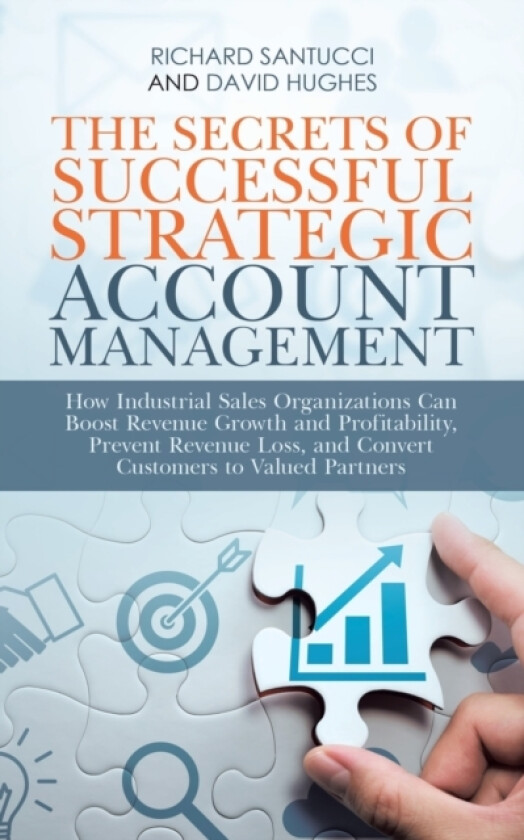 The Secrets of Successful Strategic Account Management av Richard Santucci, David Hughes (Paperback)