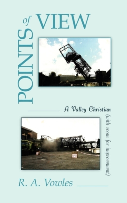 Points of View av R A Vowles (Paperback)
