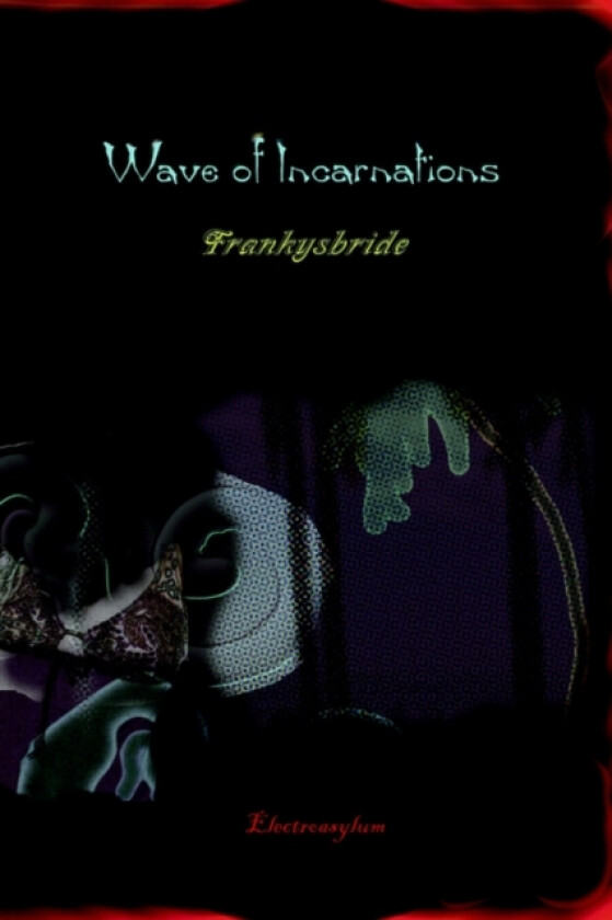 Wave of Incarnations av Frankysbride (Paperback)