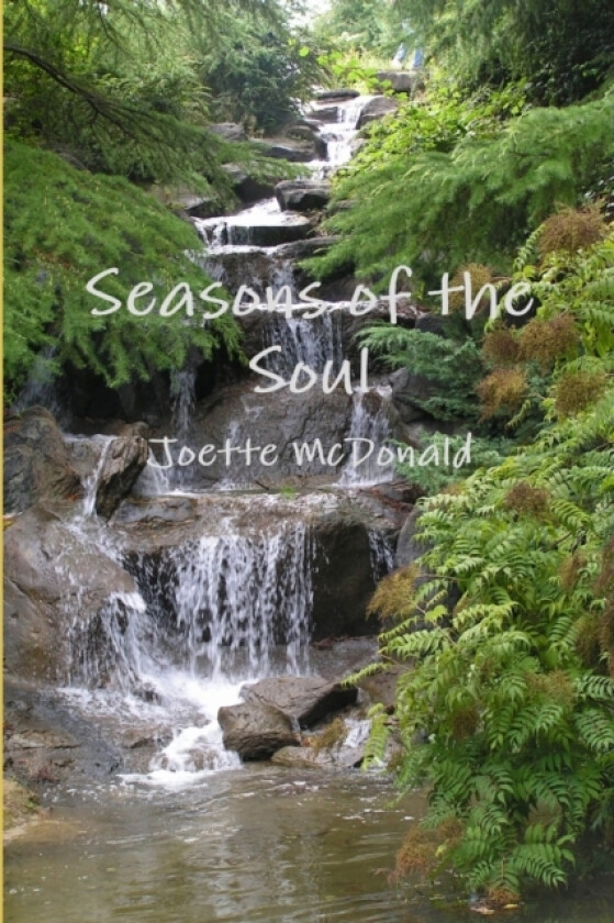 Seasons of the Soul av Joette McDonald (Paperback)