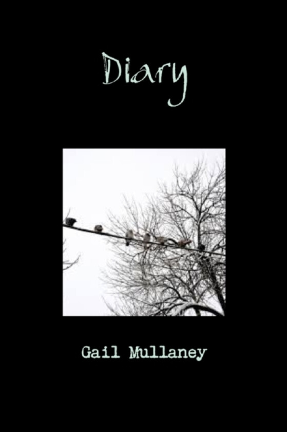 Diary av Gail Mullaney (Paperback)