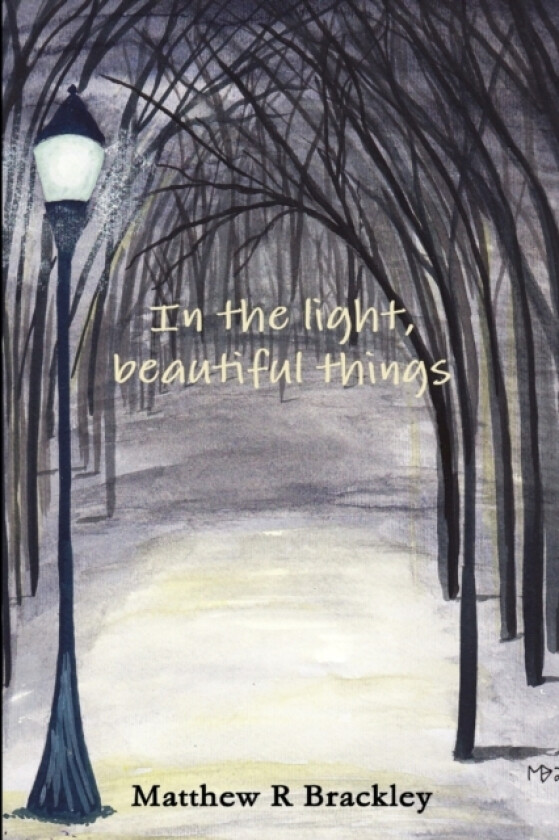 In the light,beautiful things av Matthew R Brackley (Paperback)