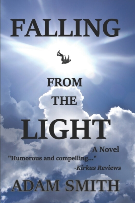 Falling From The Light av Adam Smith (Paperback)