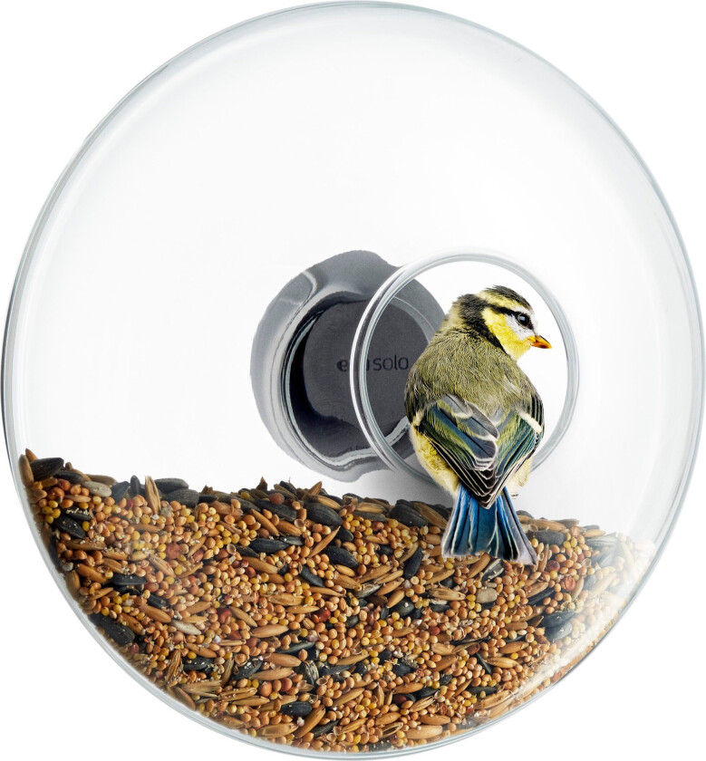 - Window Bird Feeder Large (571024)