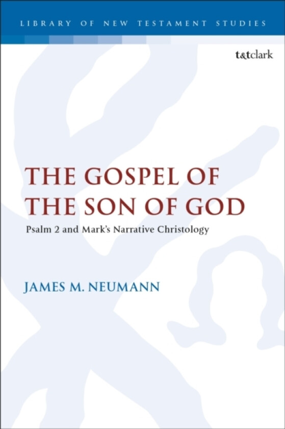 The Gospel of the Son of God av Adjunct Professor James M. Neumann (Hardcover)