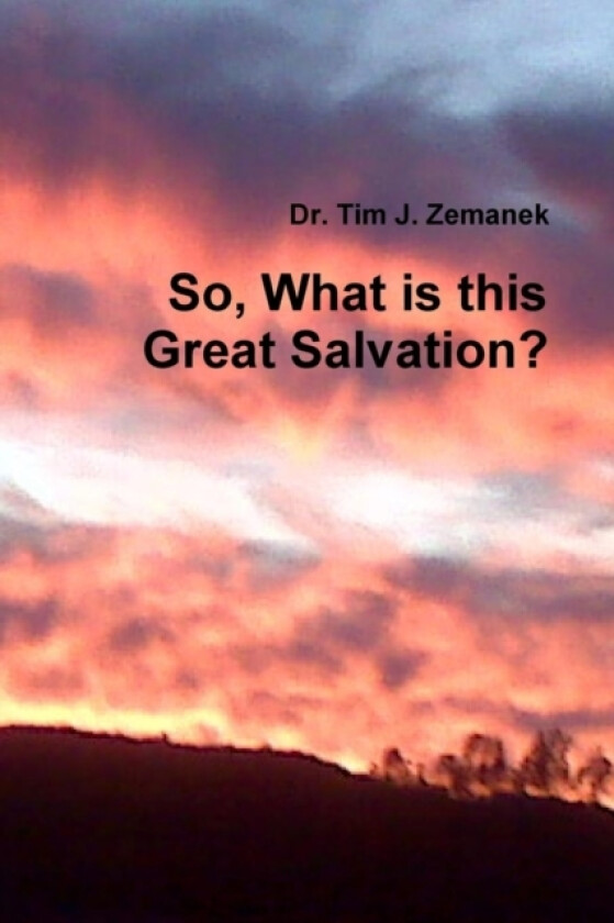 So, What is This Great Salvation? av Dr.Tim J. Zemanek (Paperback)