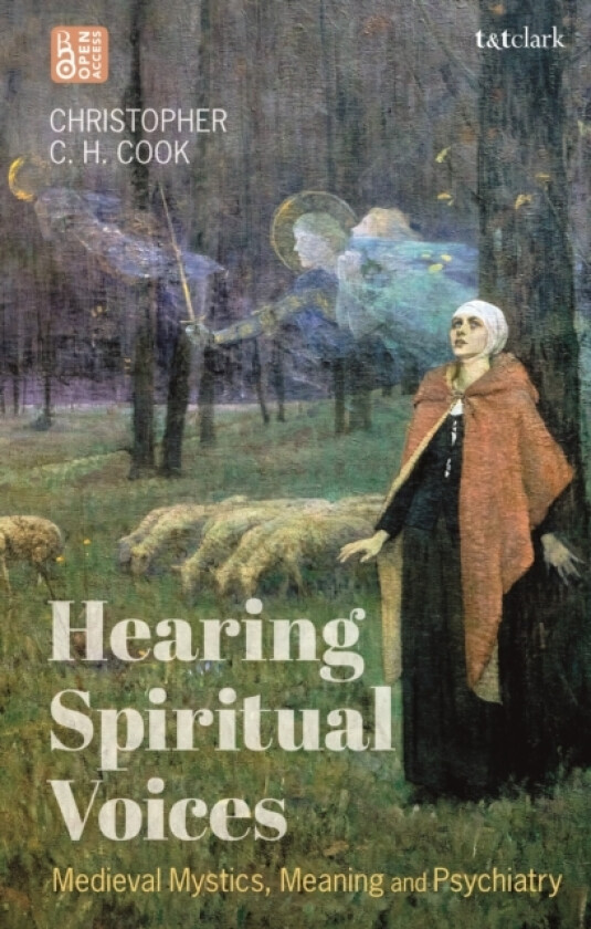 Hearing Spiritual Voices av The Revd Professor Christopher C.H. Cook (Paperback)