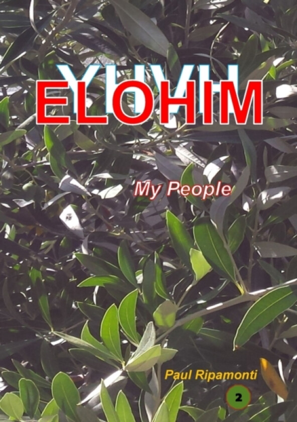 YHVH Elohim My people av Paul Ripamonti (Paperback)