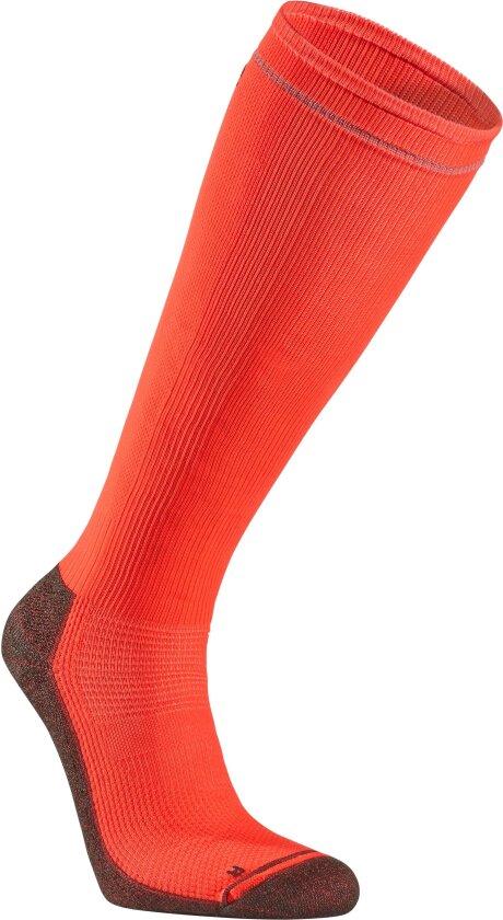 Running Mid Compression 34-36, Coral