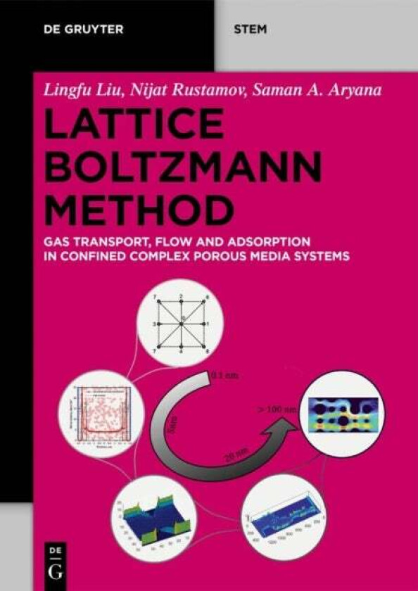 Lattice Boltzmann Method av Lingfu Liu, Saman A. Aryana, Nijat Rustamov