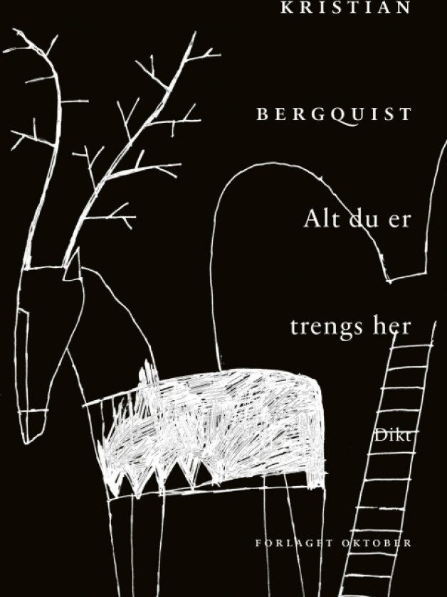 Alt du er trengs her av Kristian Bergquist