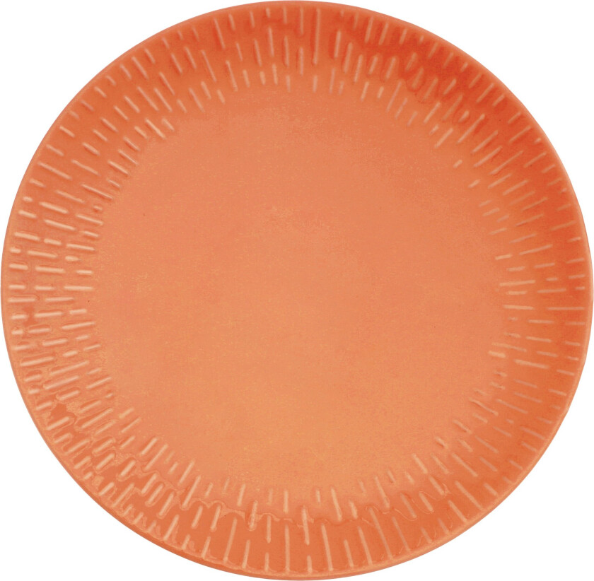 - Life in Colour - Confetti Apricot dinner plate w/relief porcelain (13323)
