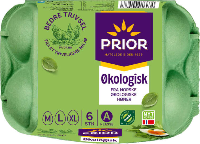 Egg Økologisk m/L/XL 6stk