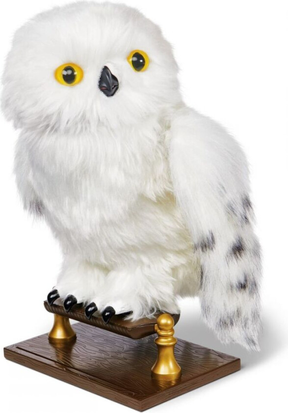 Utkledning Forheksede Hedwig