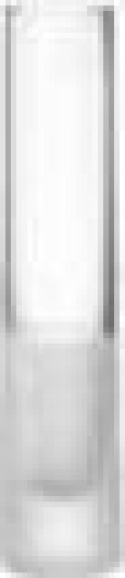 18633, Cylinder formet Vase, Glass, Gjennomsiktig, Hvit, Blank/Matt, Bord, Innendørs