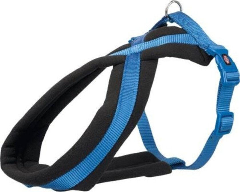 Premium touring harness M: 45-80 cm/25 mm royal blue