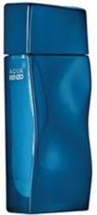 Aqua Pour Homme Edt Spray 100 ml