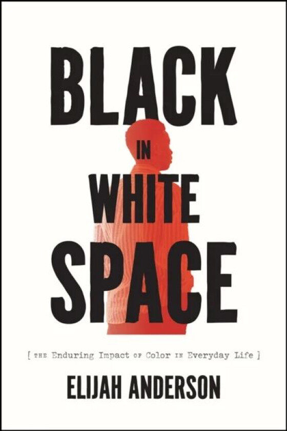 Black in White Space av Elijah Anderson