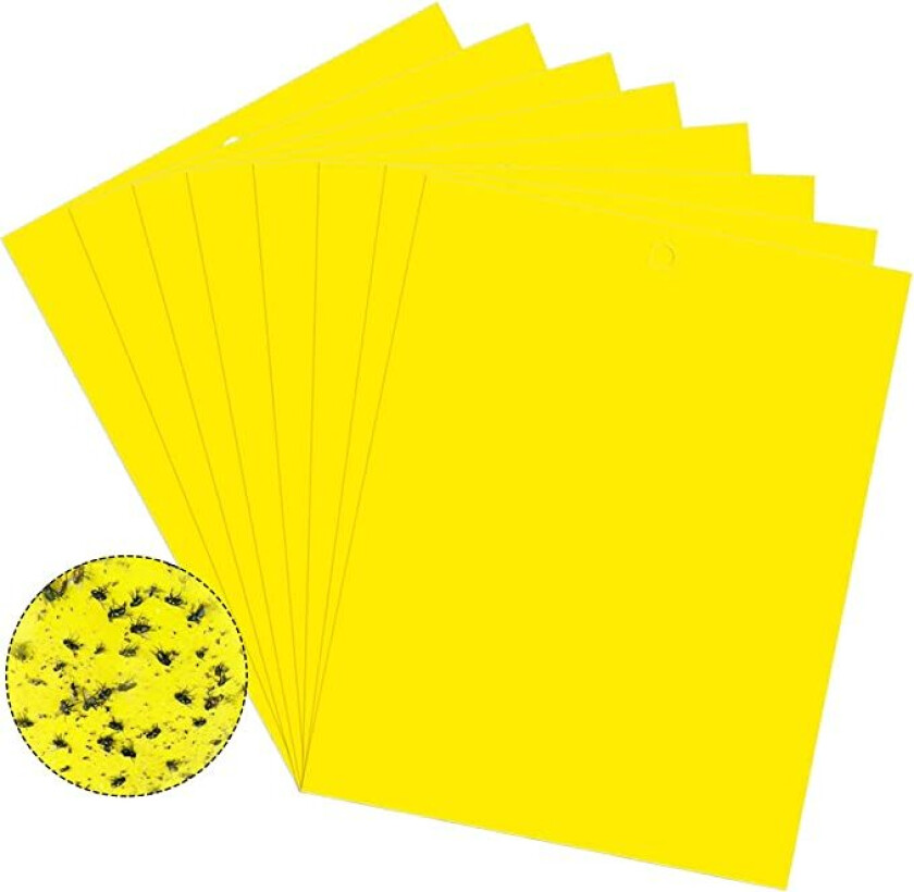Klistrefelle for skadedyr Fluesnapper 20-pak Gul 20x10 cm