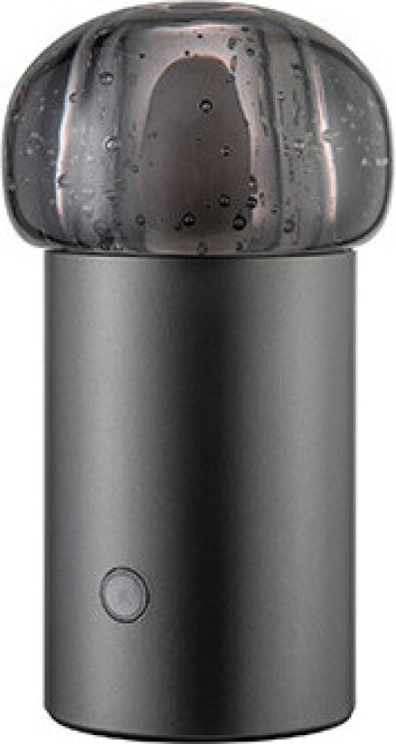 - Iris Mobile LED Bordlampe Gun Metal