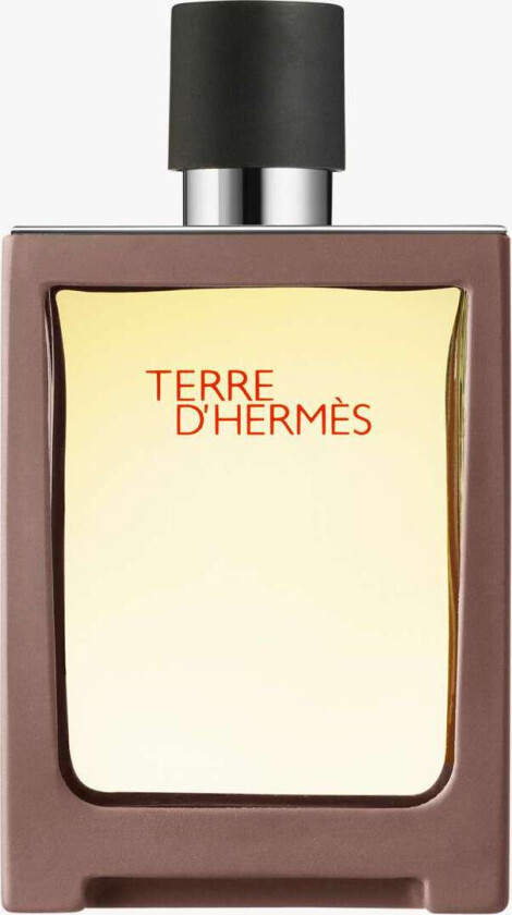 Terre d'Hermès Eau de Toilette (Størrelse: 30 ML)