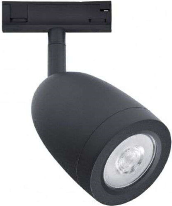 - Designline Bell Spot Black