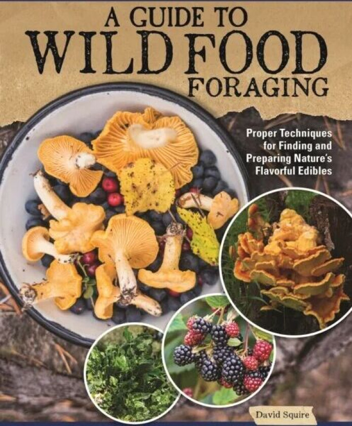 A Guide to Wild Food Foraging av David Squire