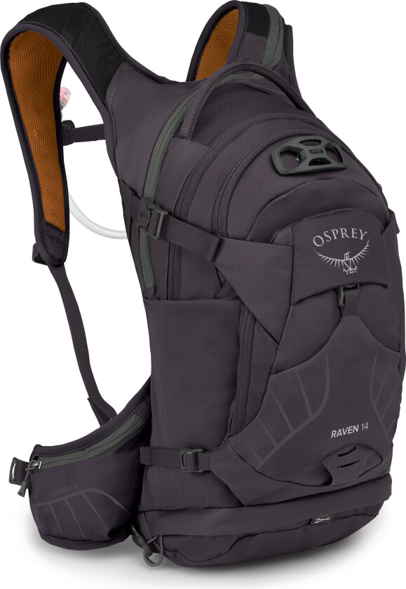 Raven 14 Space Travel Grey OS