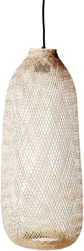 - Evert Pendel Nature