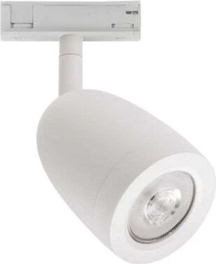 - Designline Bell Spot White