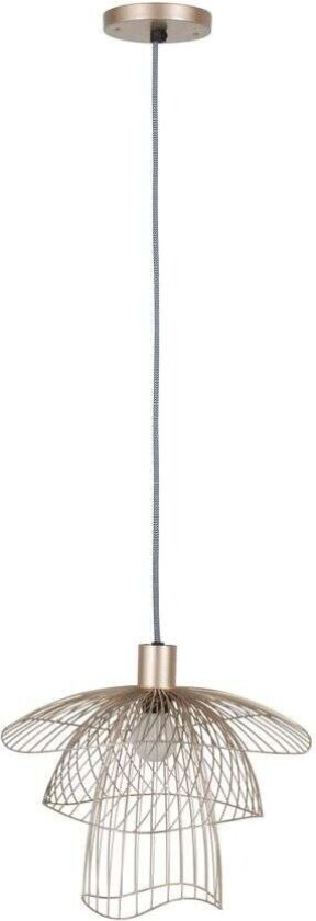 - Papillon Pendel XS Golden