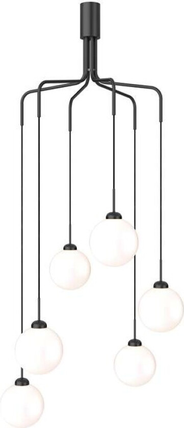 - Apiales Cluster 6 Lysekrone Satin Black/Opal