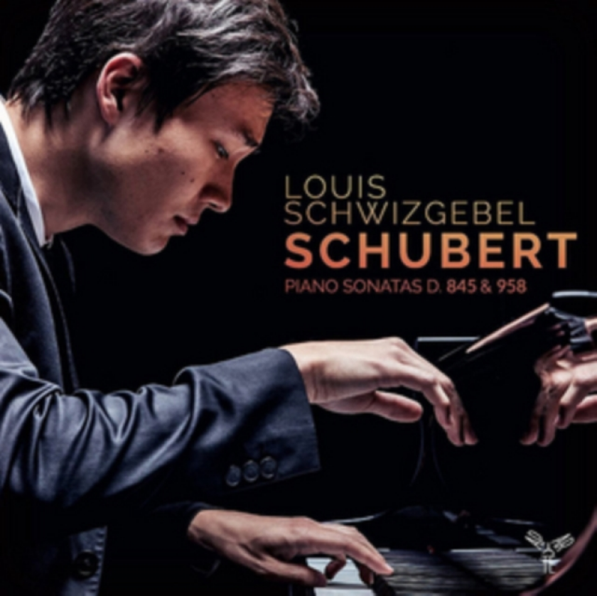 Louis Schwizgebel: Schubert Piano Sonatas D 845 & 958 CD