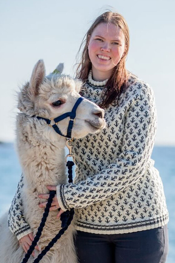 Kapteingenseren i Alpaca storm - DLG 22-002-AS502515