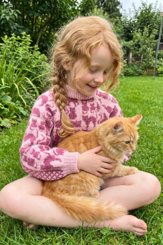 Crazy cat genser i rosa - Strikkia 2026-029-563566