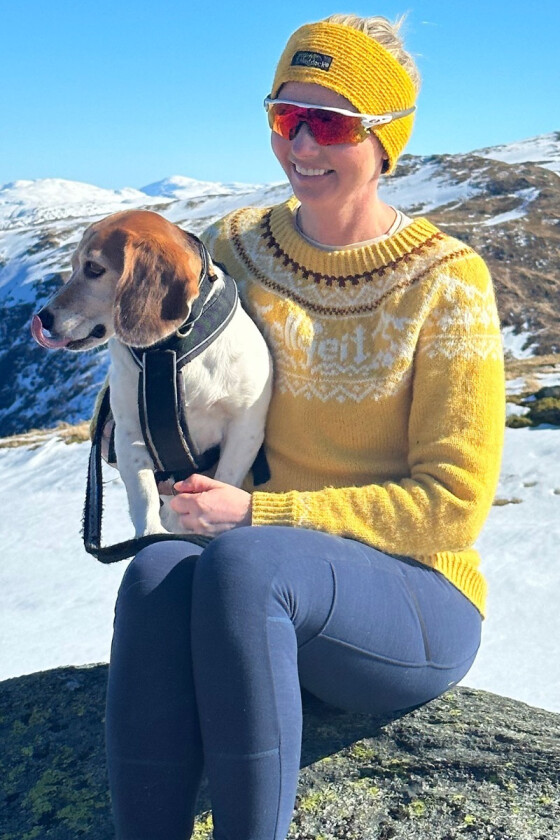 Gul Fjellgeitgenser - DLG 22-004-540B