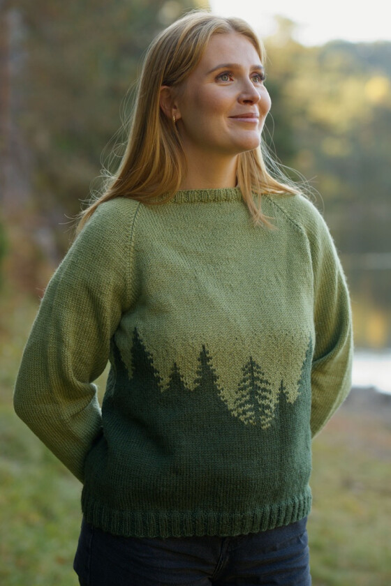 Forest silhouette - DLG 24-019