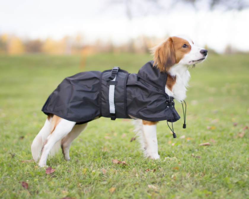 Dog rain rug (no filling), Black (55 cm)