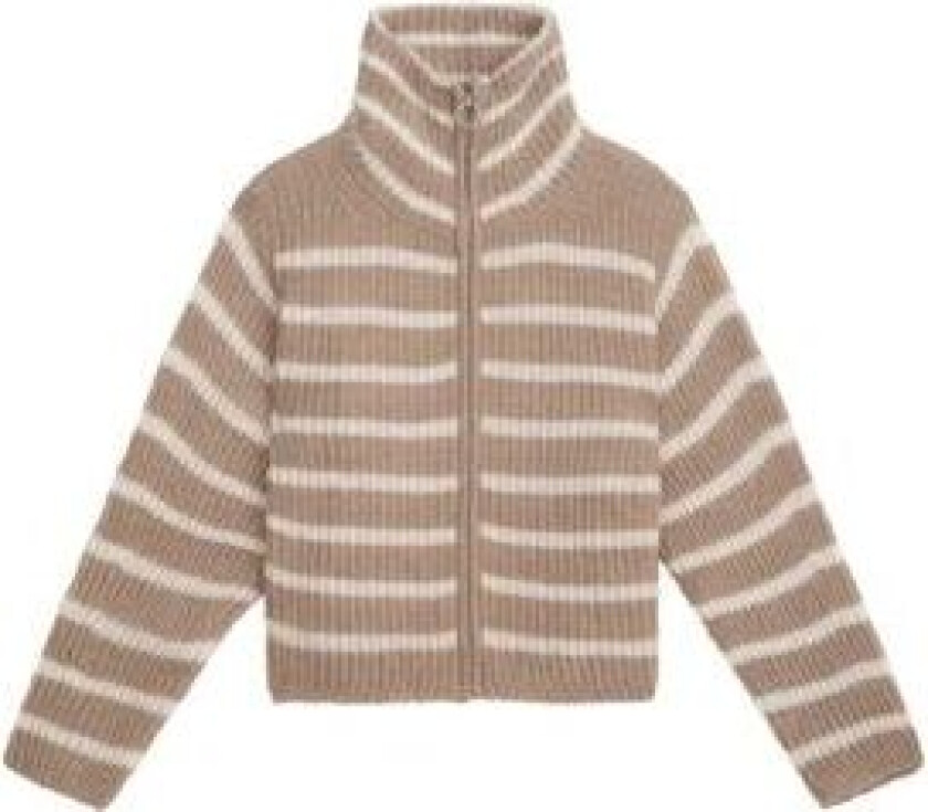 Jones Stripe - Beige Combo XL