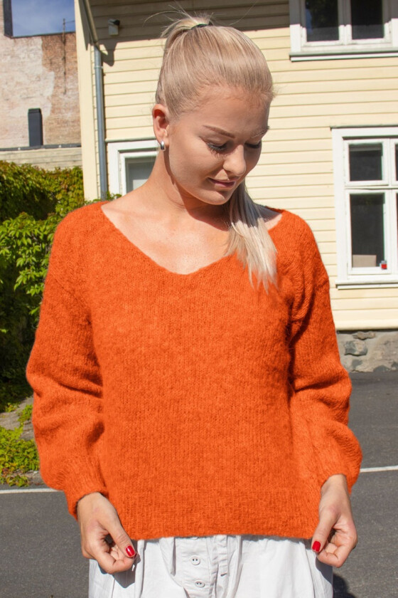 Oransje Amandagenser - DSA 99-20H