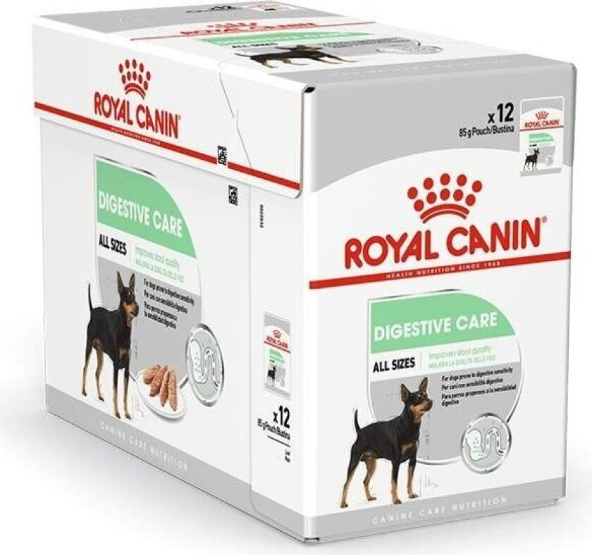Royal Canin Digestive Care Adult Wet