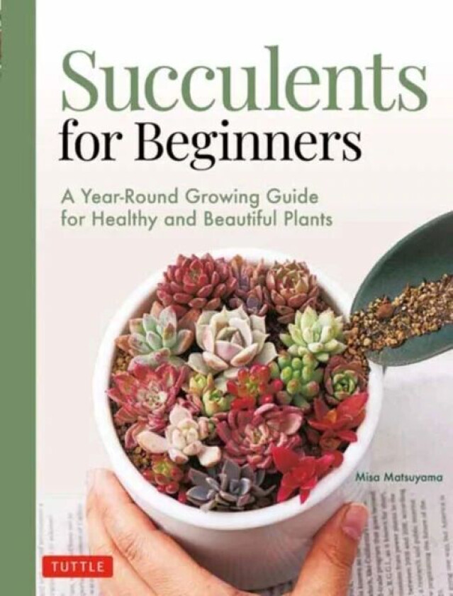 Succulents for Beginners av Misa Matsuyama