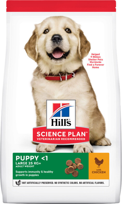 Hill's Science Plan Puppy Large Breed Chicken (14,5kg)