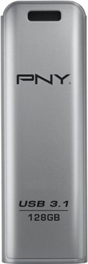 Elite Steel - 128GB - Minnepenn