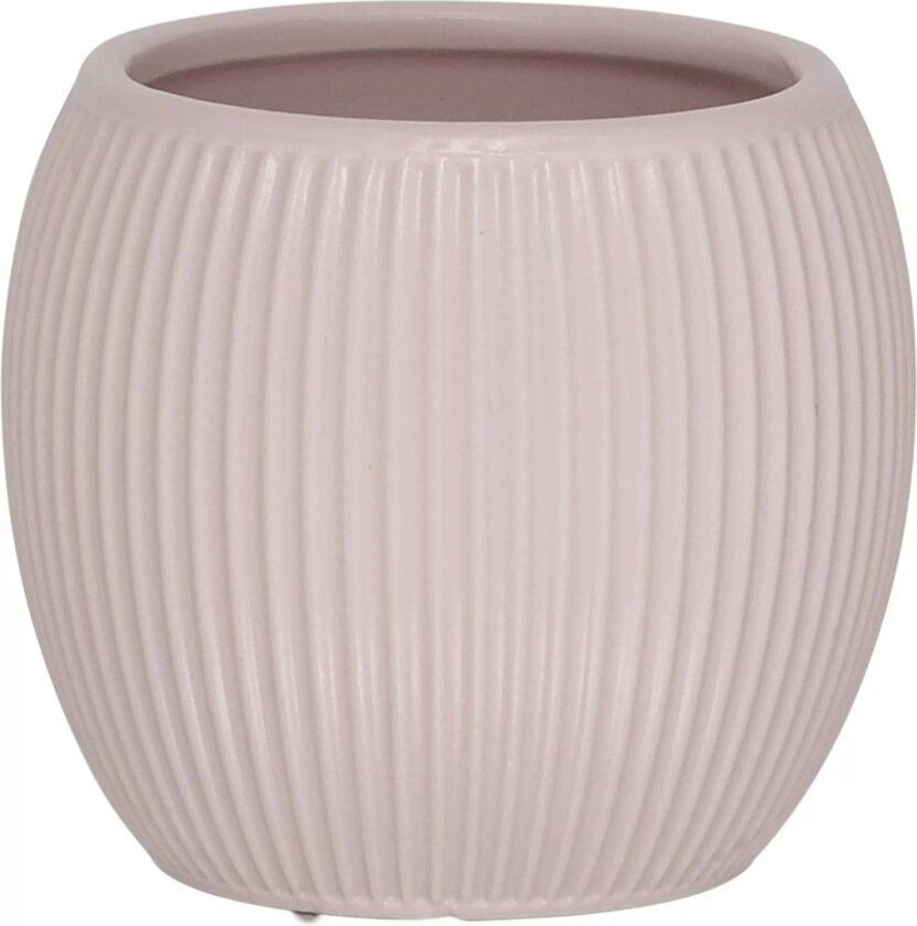 Convex Tannglass Rosa