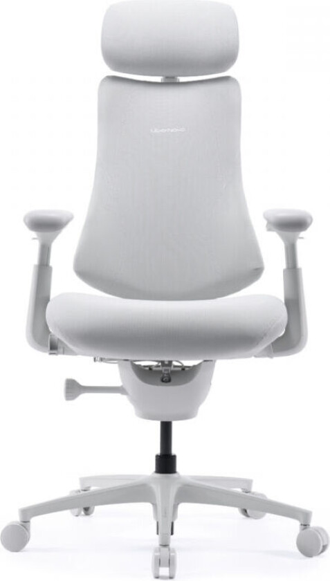 Bilde av Omni Pro Dynamic Ergonomisk Stol 48cm - Glacier White