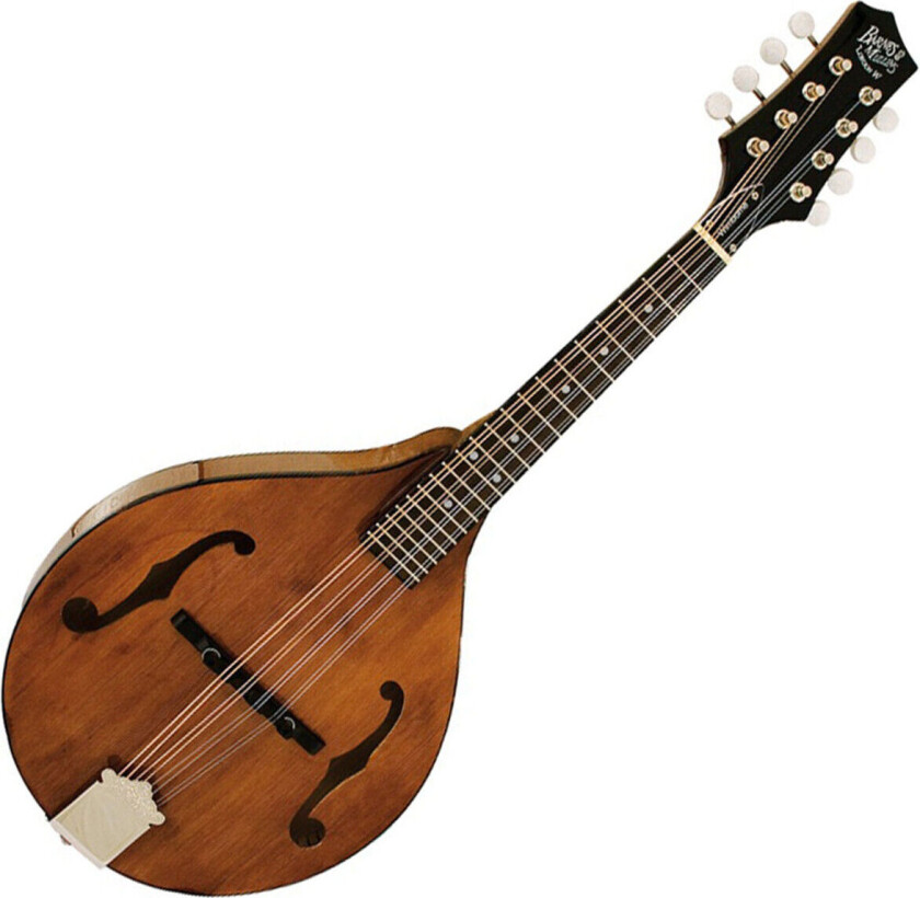 Bilde av Wimborne Electro Acoustic Mandolin